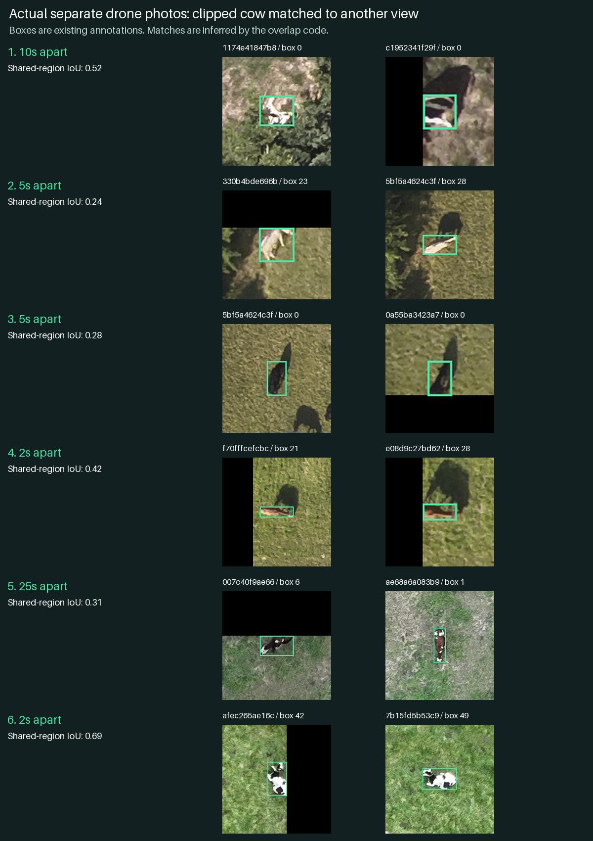Validation evidence showing a partially clipped cow matched with another view across separate drone photos. Green boxes are supplied annotations.